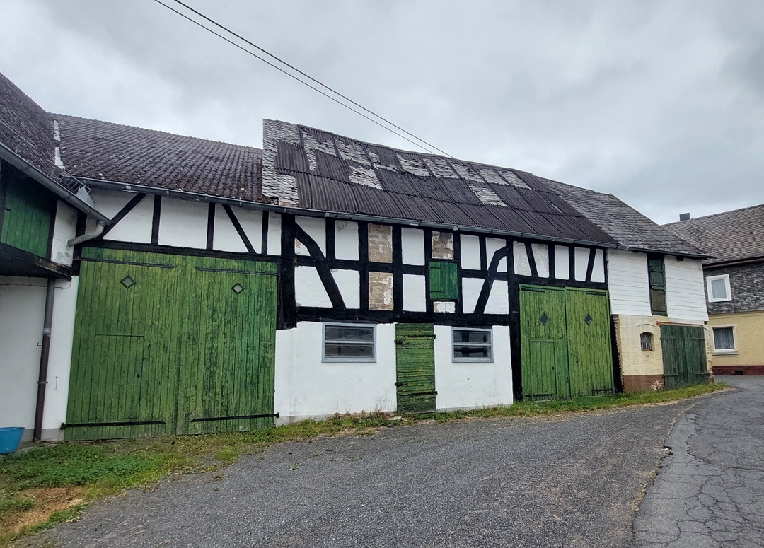 Stein-Wingert - 2025